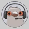#Pidge