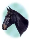 sultan.webp
