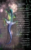 lizard.webp