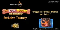 thedoghouse-megaways800x400.webp