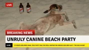 breaking news.png