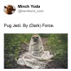 pug jedi.webp