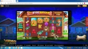 dog's house.webp