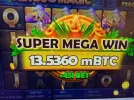 4555222.webp