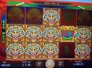 8887655.webp