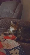 20170318_204150.webp