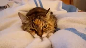 20180325_191530.webp