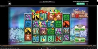 WildFlowersLeoVegas746x6032024.webp