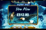Shamanspirit.webp