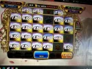 44444.webp