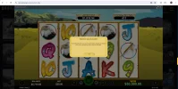 raindance maxwin.webp