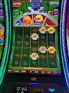 thumbnail_IMG_7145.webp