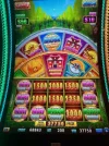 thumbnail_IMG_7153.webp