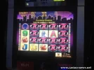kitty slot win.webp
