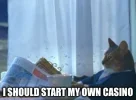 cat1.webp
