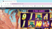 5.gif