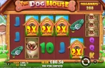 dog house.webp