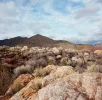 0010-0e015.webp