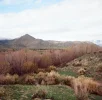 0011-f4e54.webp