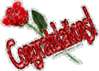 congratulations_glittered_red_rose.gif