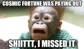 Scared_monkey.webp