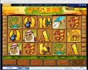 desert-treasure-coral.webp