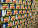 trackback-spam.webp