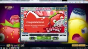 340x Fruit Case.webp
