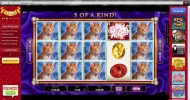 Dotty Bingo - PK Slot.webp