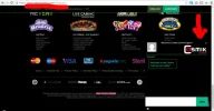 cashpot-cosmik.webp