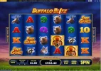 Buffalo 2.webp
