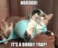 booby trap.webp