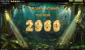 74x @40p.webp