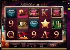 finer2.webp
