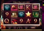 finer3.webp