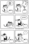 cat.webp