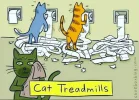 cat tredmills.webp