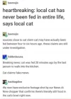 cat.webp
