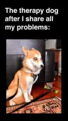 57209237_1265401483610627_627701516030967808_n.webp