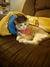 mischief pic 1.webp