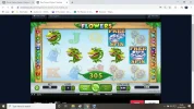 03-06 flower1.webp