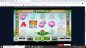 03-06 flower3.webp
