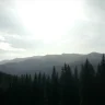 Milaroy