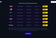 Race Payment Methods Desktop Device View