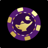 Desert nights logo